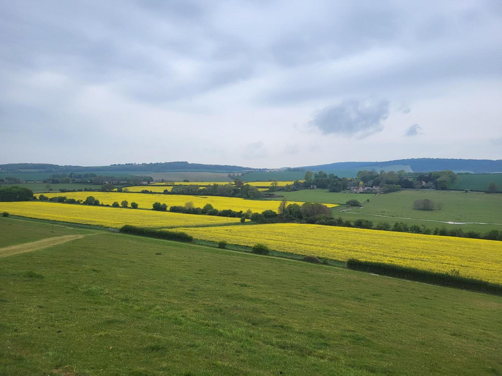 Rural Retreat Near West Wittering Beach! Dog Friendly & Free Parking - Ideal Weekend Getaway! Chichester Holiday Properties Donnington  Exterior photo