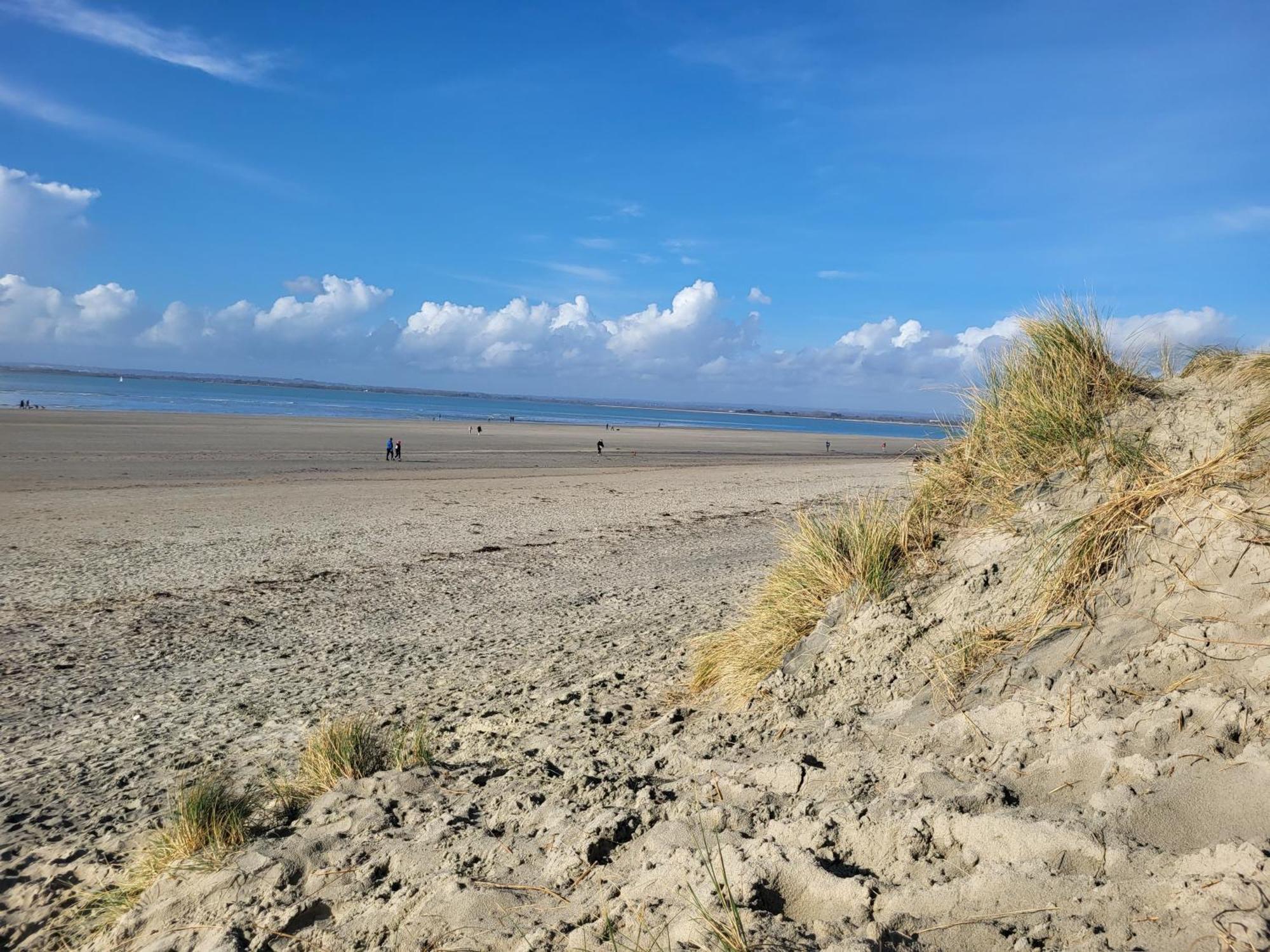 Rural Retreat Near West Wittering Beach! Dog Friendly & Free Parking - Ideal Weekend Getaway! Chichester Holiday Properties Donnington  Exterior photo